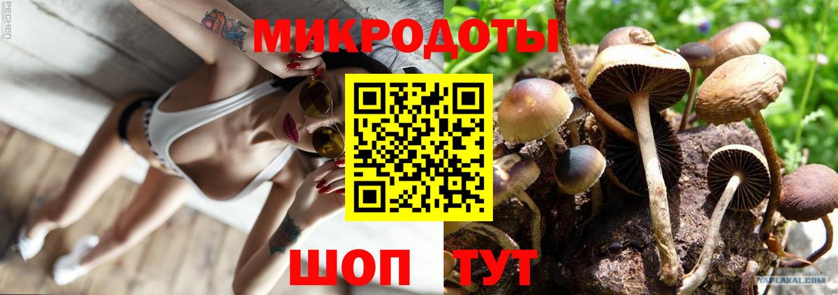 Галлюциногенные грибы MAGIC MUSHROOMS  закладки  Псилоцибиновые грибы GOLDEN TEACHER  Кашира  Вход с VPN 